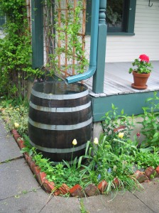 Example of a water harvesting system.